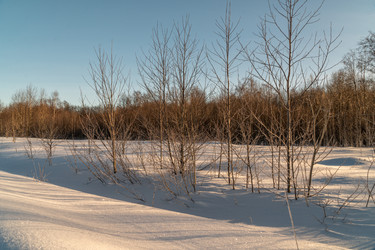 Similar image 21324787