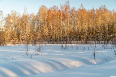 Similar image 21324788