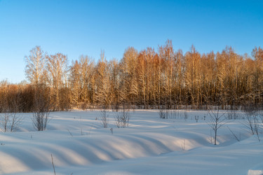 Similar image 21324789