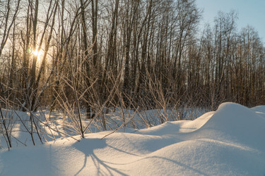 Similar image 21324793