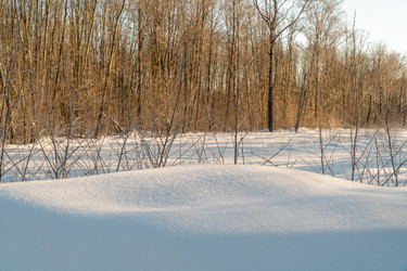 Similar image 21324794