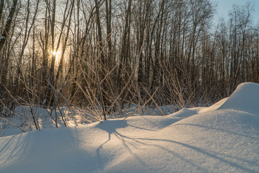 Similar image 21324795