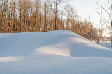 Similar image 21324796