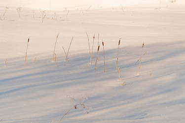 Similar image 21324797