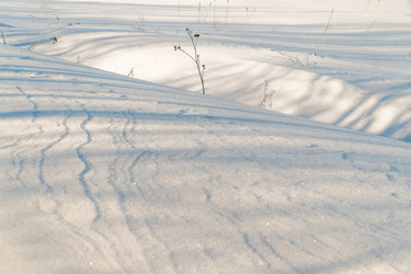 Similar image 21324798