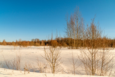 Similar image 21324800