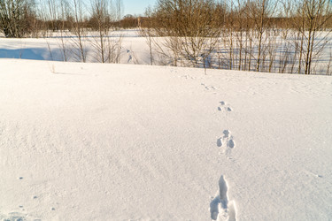 Similar image 21324801