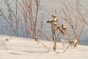 Similar image 21324802