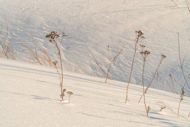 Similar image 21324803