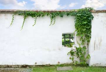 Similar image 21326314