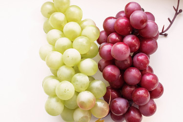 Similar image 21327412