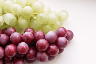 Similar image 21331900