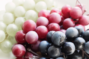 Similar image 21327413