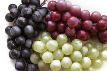 Similar image 21327414