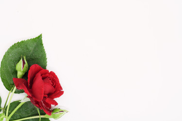 Similar image 21325766