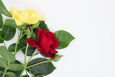 Similar image 21325767