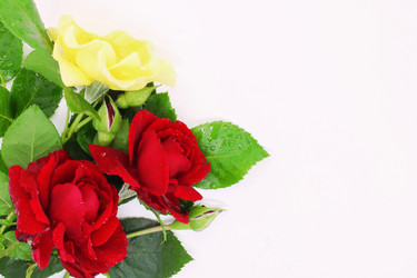 Similar image 21325768