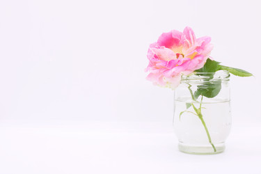 Similar image 21325770