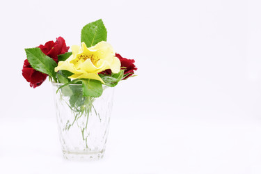 Similar image 21325772