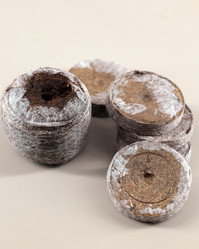 Similar image 21324742