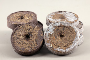 Similar image 21324743