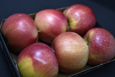 Similar image 21336771