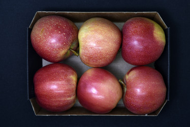 Similar image 21336772