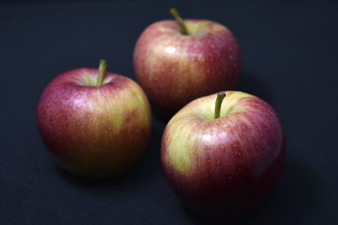 Similar image 21336775