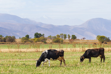 Similar image 21324963