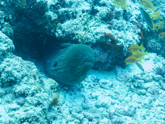 Similar image 21324964