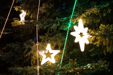 Similar image 21324876