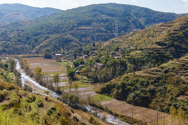 Similar image 21324488