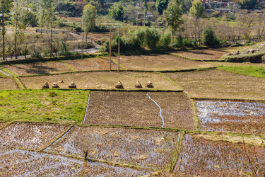 Similar image 21324492