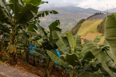 Similar image 21324506