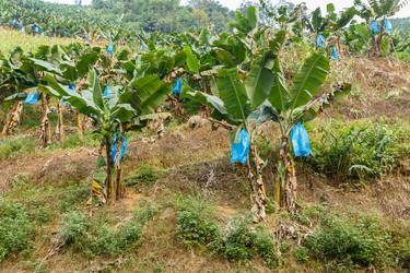 Similar image 21324508