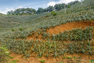 Similar image 21324516