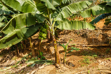 Similar image 21324518