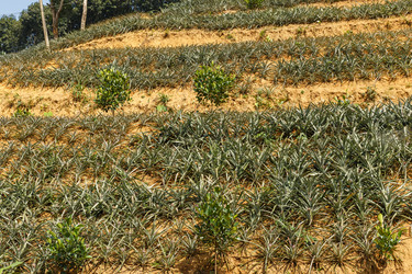 Similar image 21324522