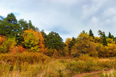 Similar image 21324908