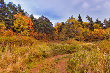 Similar image 21324909