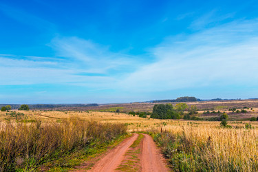 Similar image 21324918