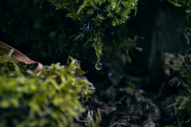 Similar image 21326798