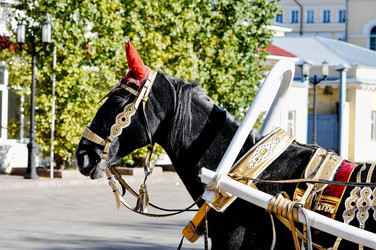 Similar image 21338094