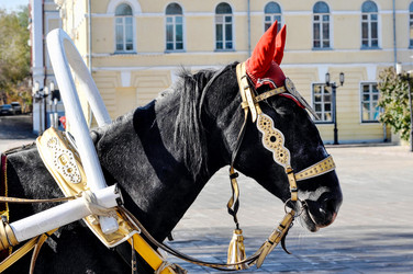 Similar image 21338095