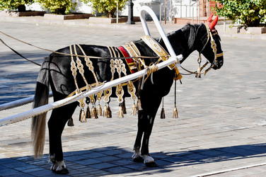 Similar image 21338096