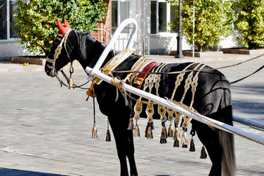 Similar image 21338097