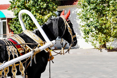 Similar image 21338099