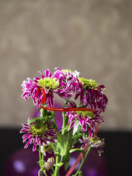 Similar image 21326018