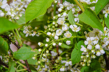 Similar image 21336492