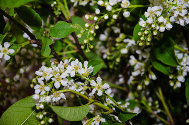 Similar image 21336500